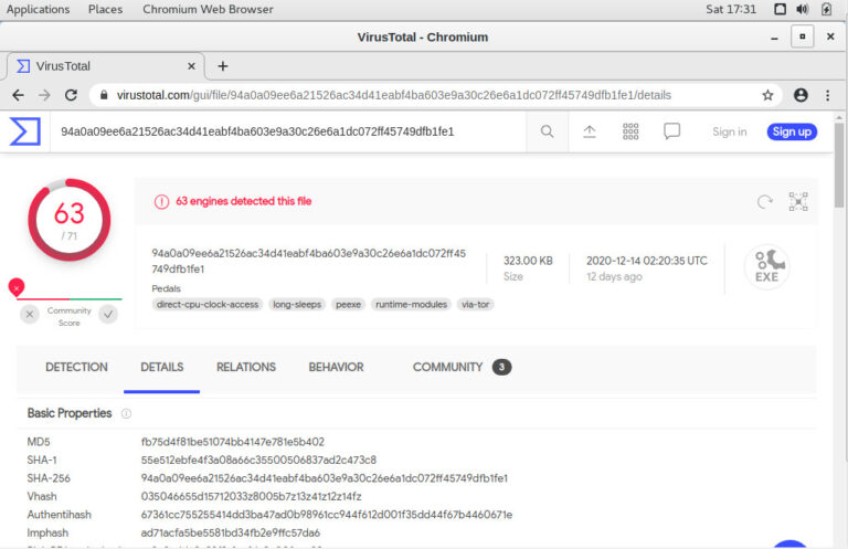VirusTotal 结果