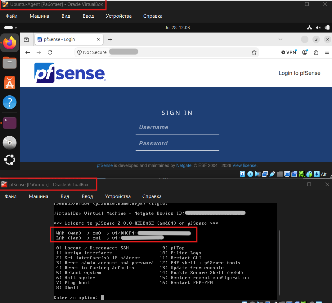 pfSense 接口分配
