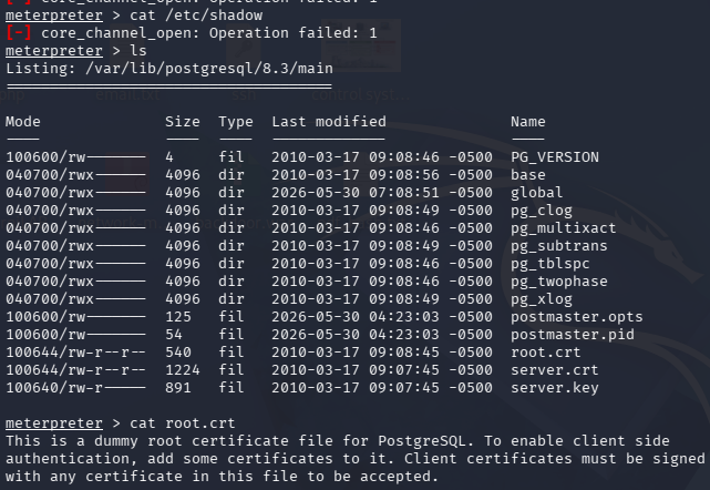 利用 PostgreSQL 进行未经授权文件访问