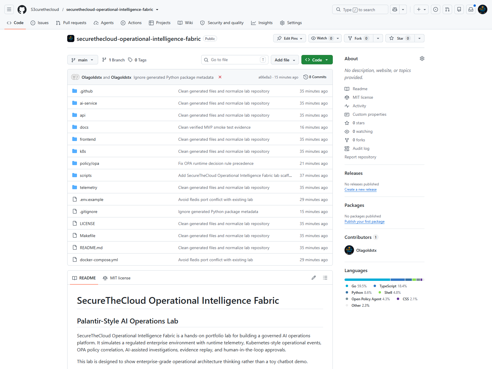 GitHub 仓库主页