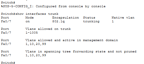 Trunk 验证