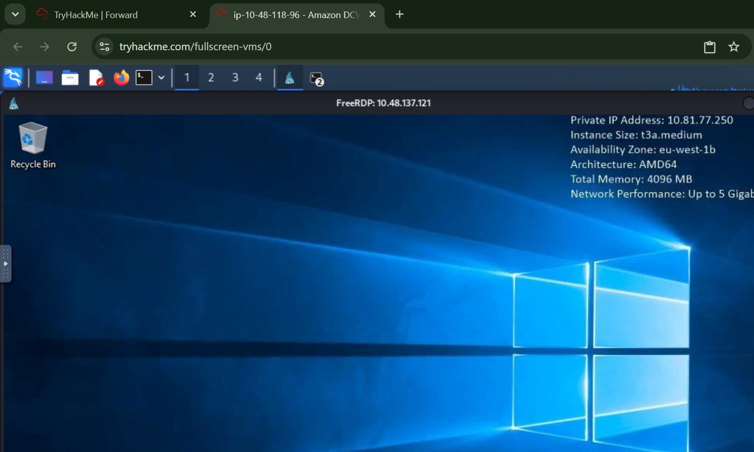 RDP Windows 桌面