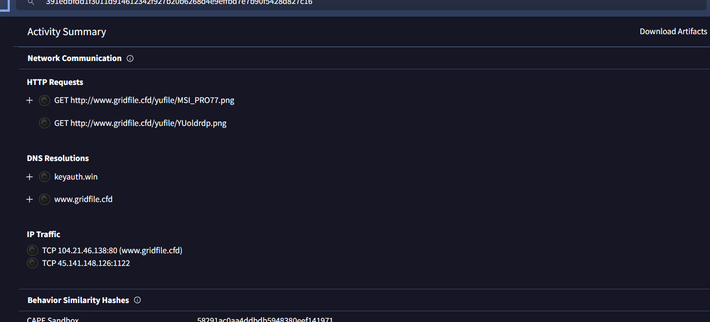Payload 分发和 C2 网络 IOCs