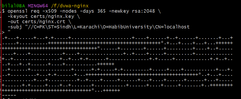 openssl output