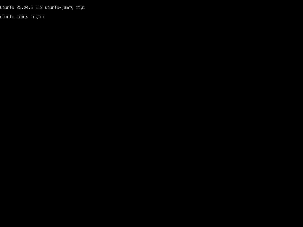 检查 VM 已启动
