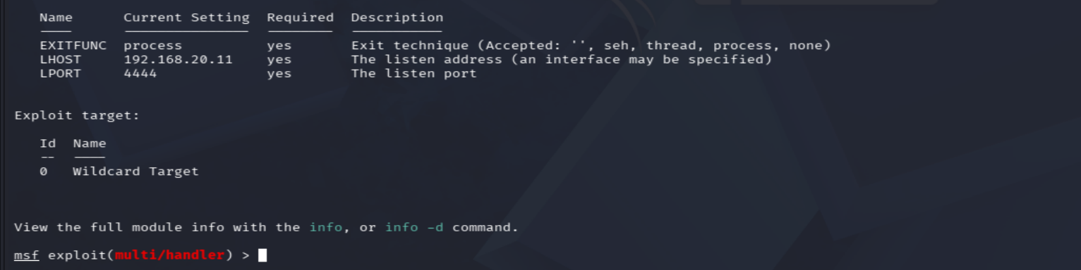 Metasploit multi/handler 选项