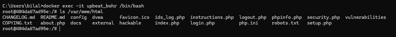 docker exec shell