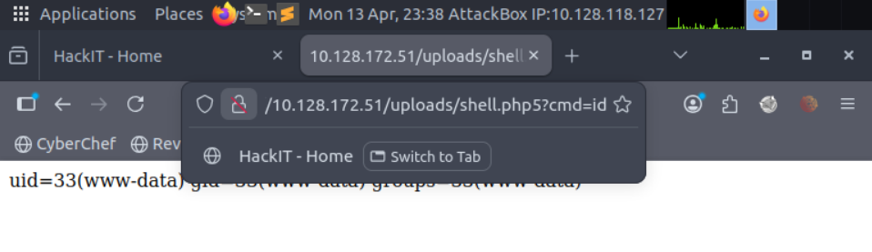 Command Execution