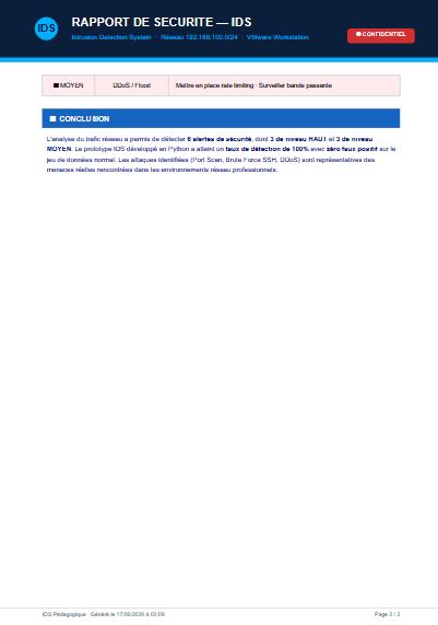 PDF 报告 2