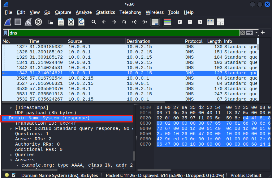 DNS packet