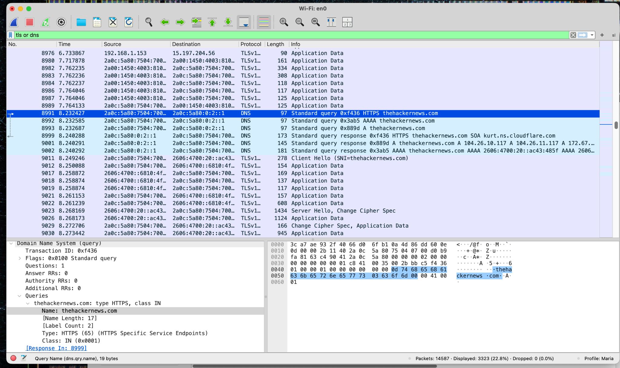 明文 DNS 请求和带有 SNI 的 TLS Client Hello 捕获