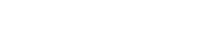 Journalit